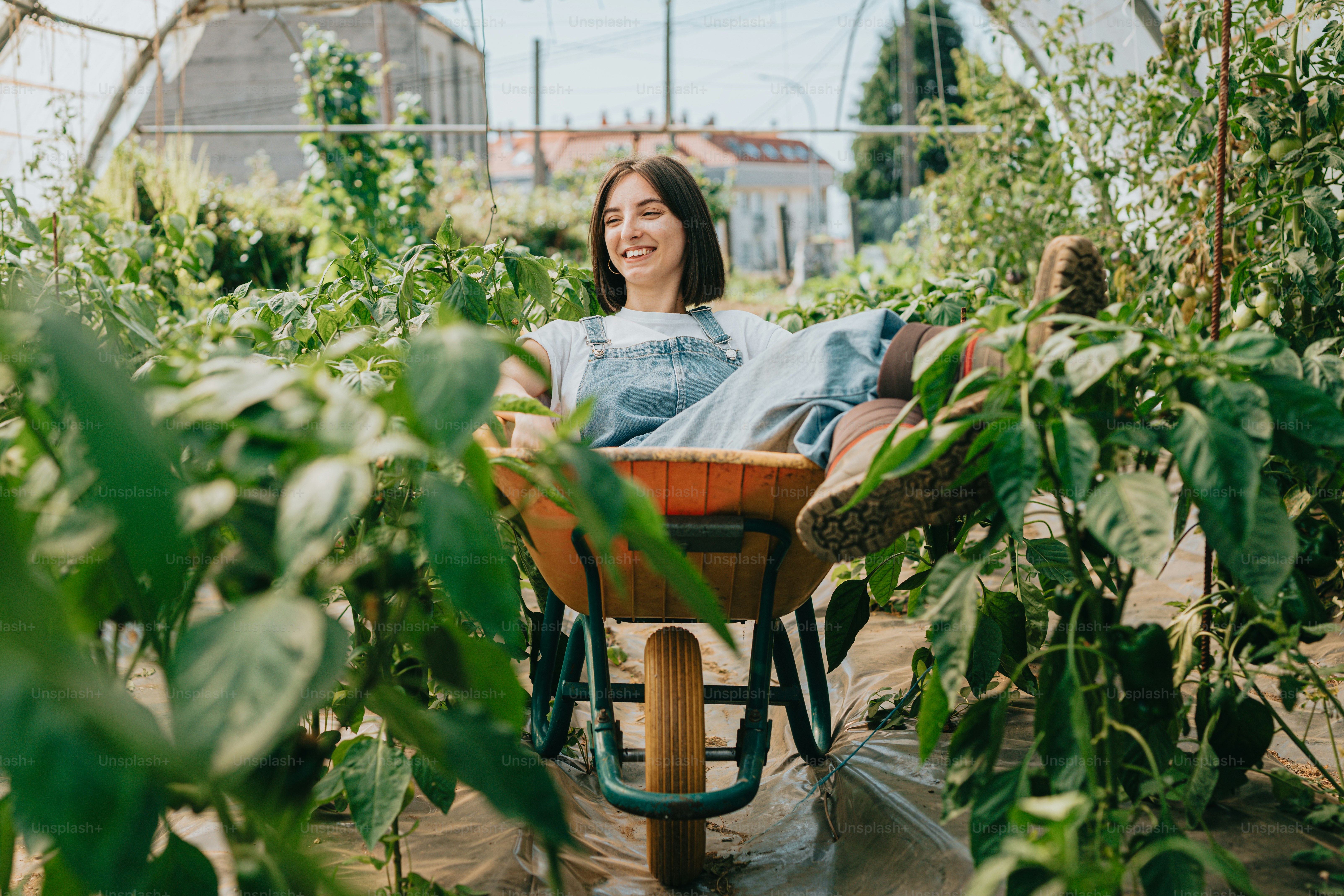 Una mujer sentada en una silla de ruedas en un invernadero
