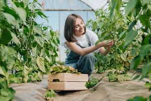 a woman kneeling down in a greenhouse picking plants