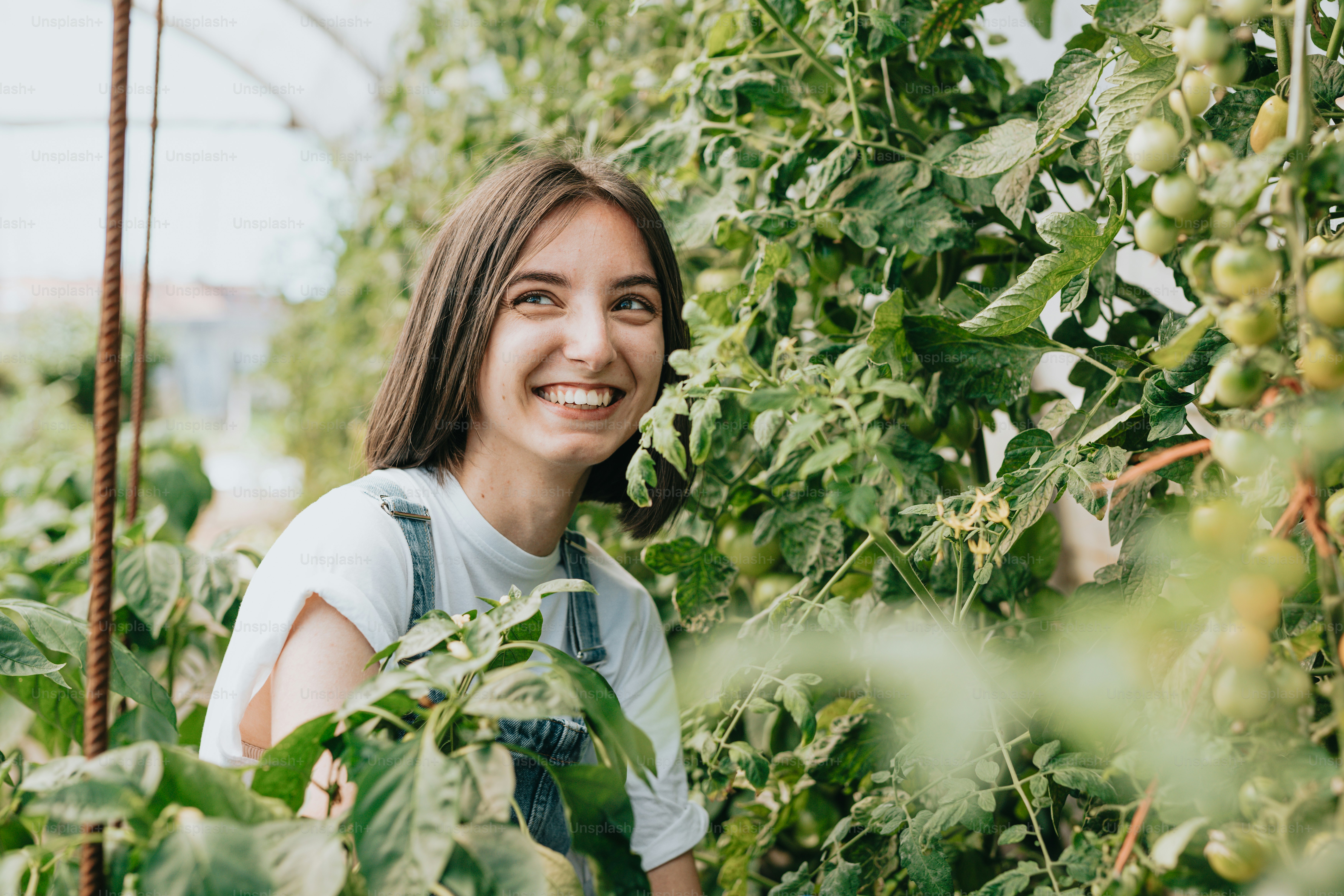 A woman standing in a greenhouse with her arms crossed photo – Farm ...