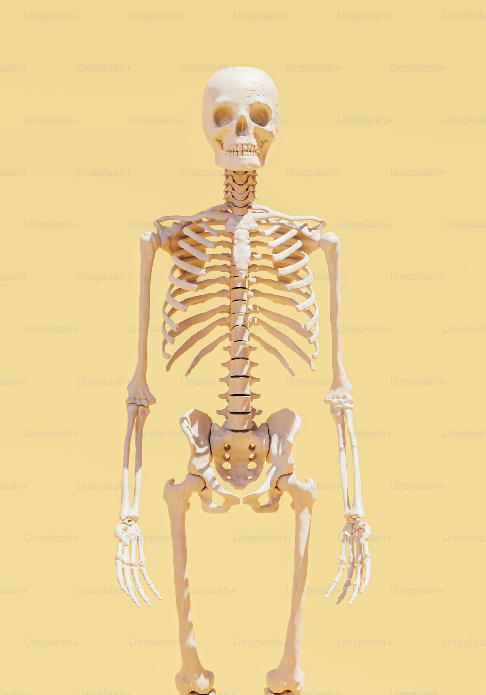 Uno scheletro è in piedi nel mezzo di uno sfondo giallo