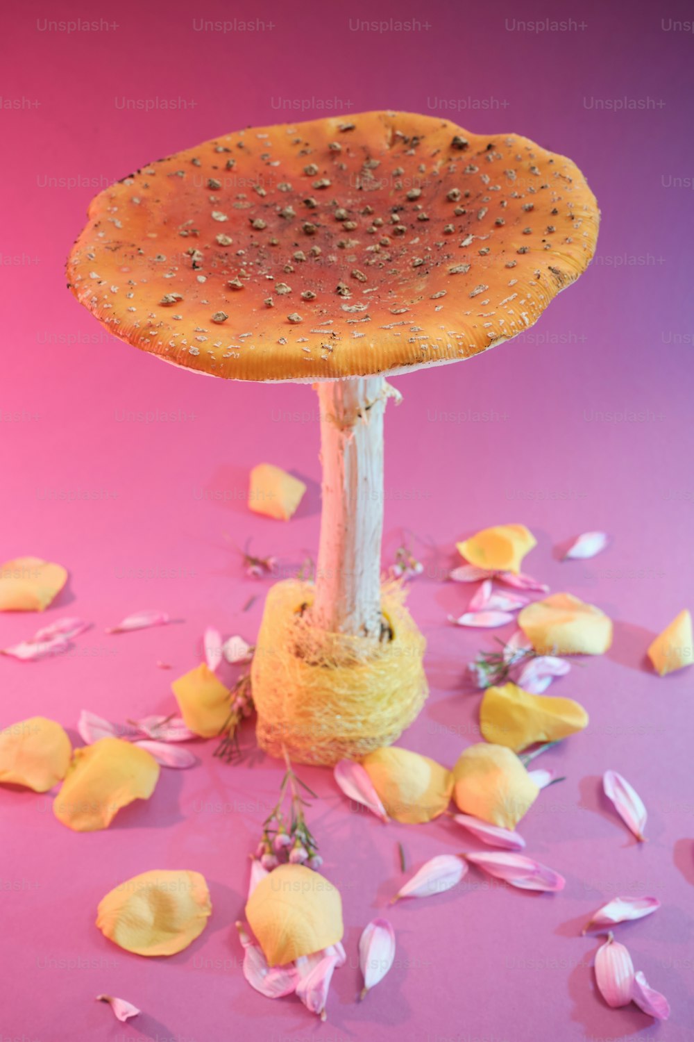 Un objeto en forma de hongo sentado encima de una superficie rosa