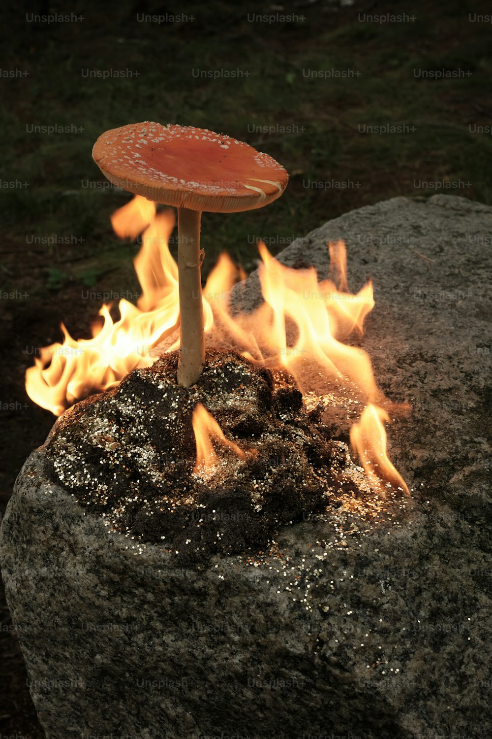 un fungo seduto sulla cima di una roccia accanto a un fuoco