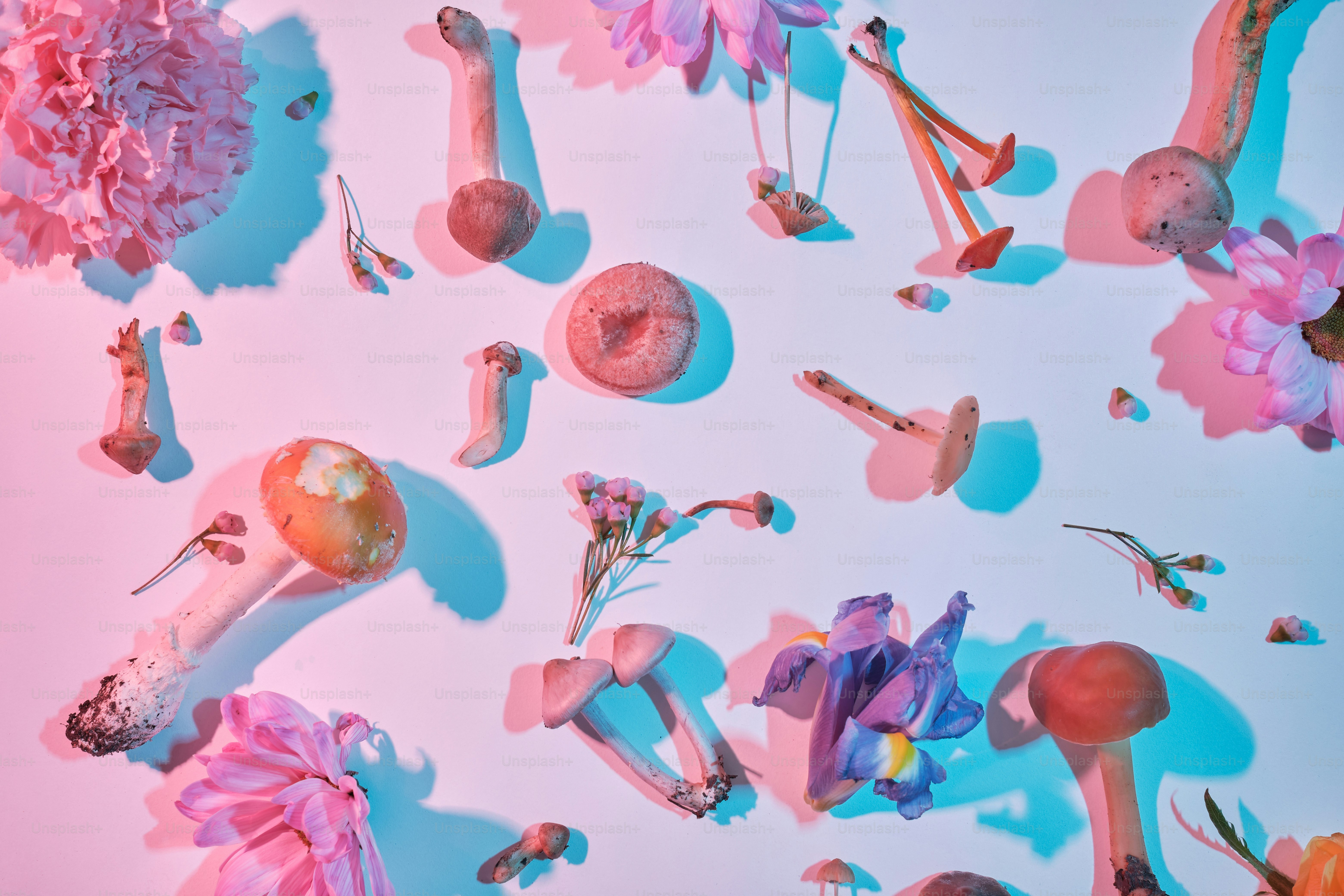 a group of different types of flowers and mushrooms