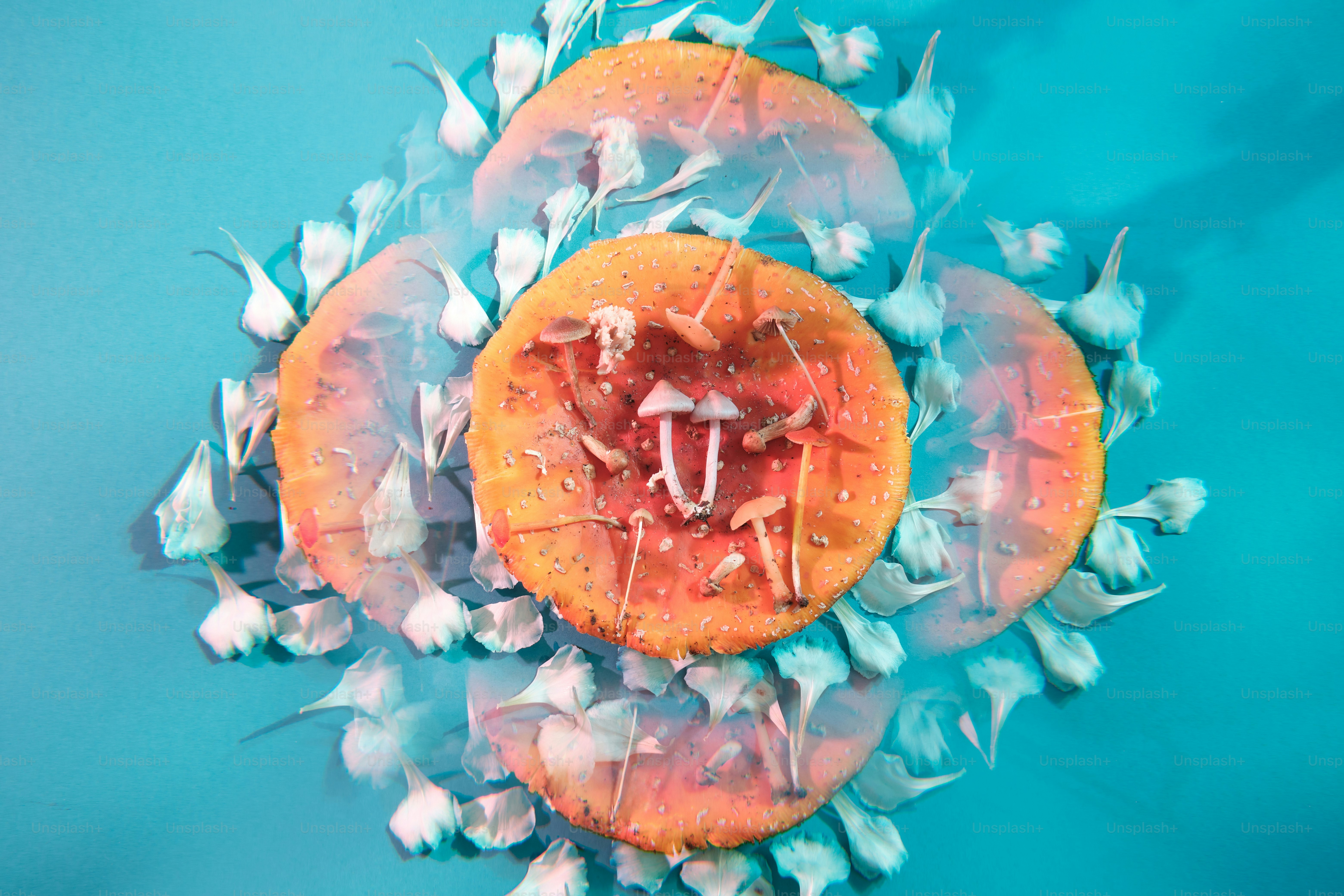 a close up of a jellyfish on a blue background