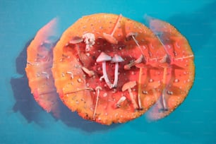 a close up of a piece of fruit on a blue surface