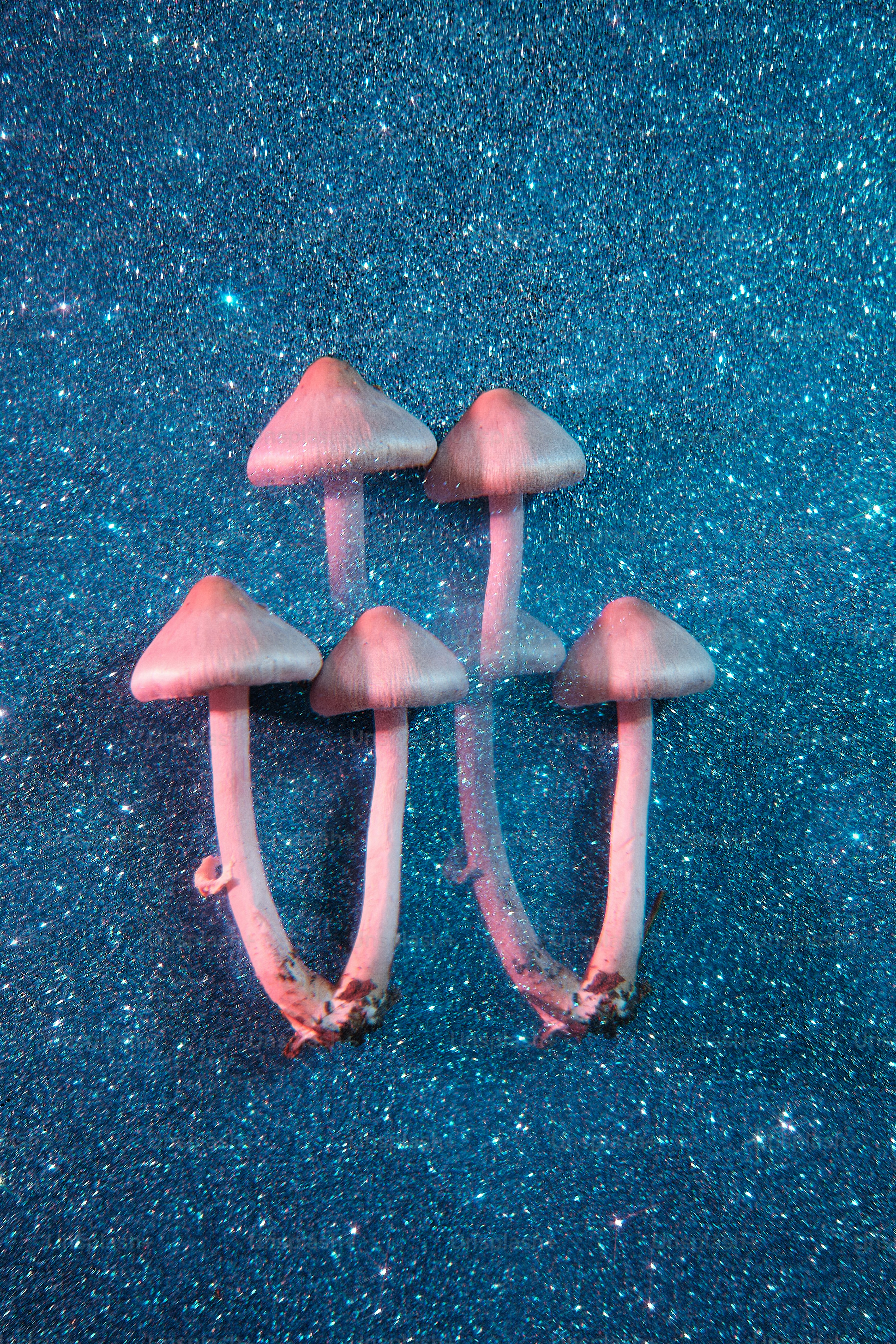 a group of pink mushrooms sitting on top of a blue surface