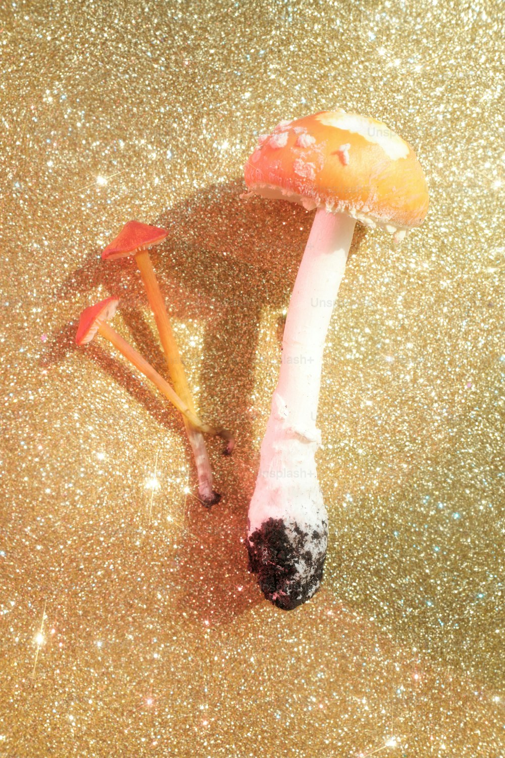 a close up of a mushroom on a glittery surface