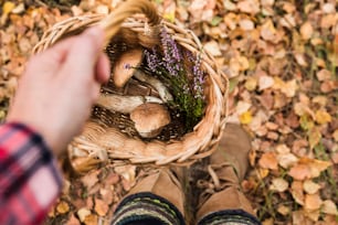 a person holding a basket with mushrooms in it