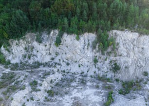 木々のある岩場の空中写真