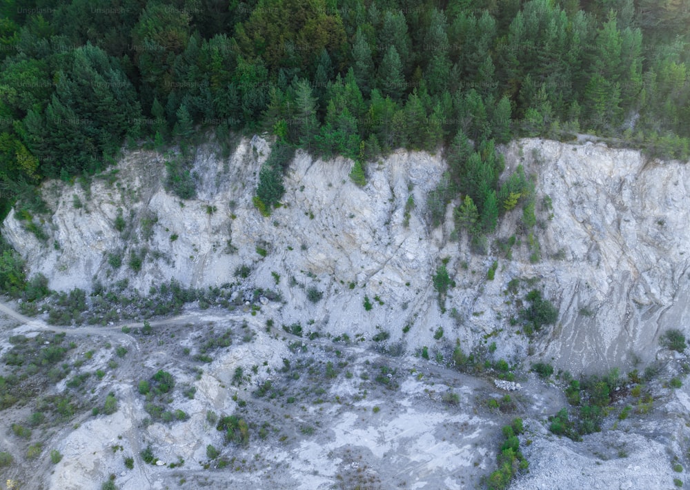 an aerial view of a rocky area with trees
