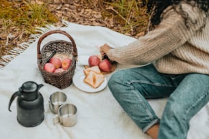 사과 바구니와 함께 담요에 앉아있는 여자