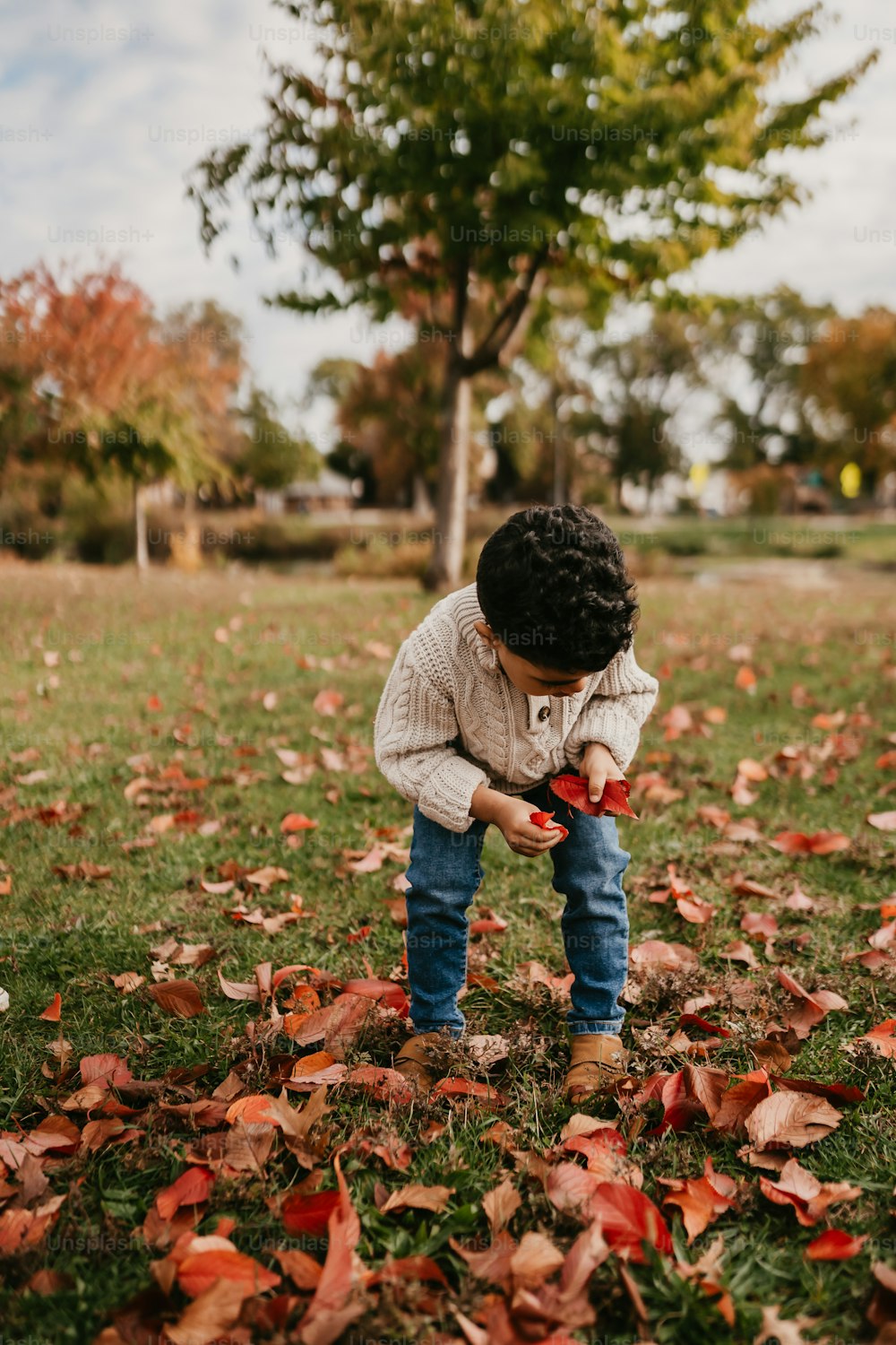 a little boy playing with leaves in a park