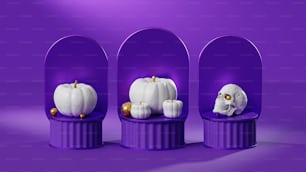 three white pumpkins in a purple display case