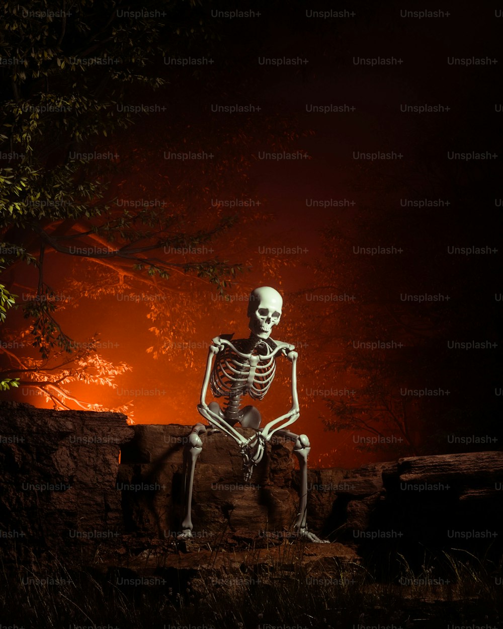 a skeleton sitting on a rock in the dark