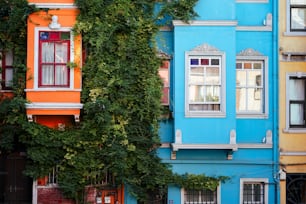 a row of multicolored buildings with vines growing up the side of them