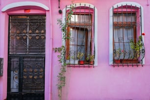 두 개의 창문과 검은색 문이 있는 분홍색 건물