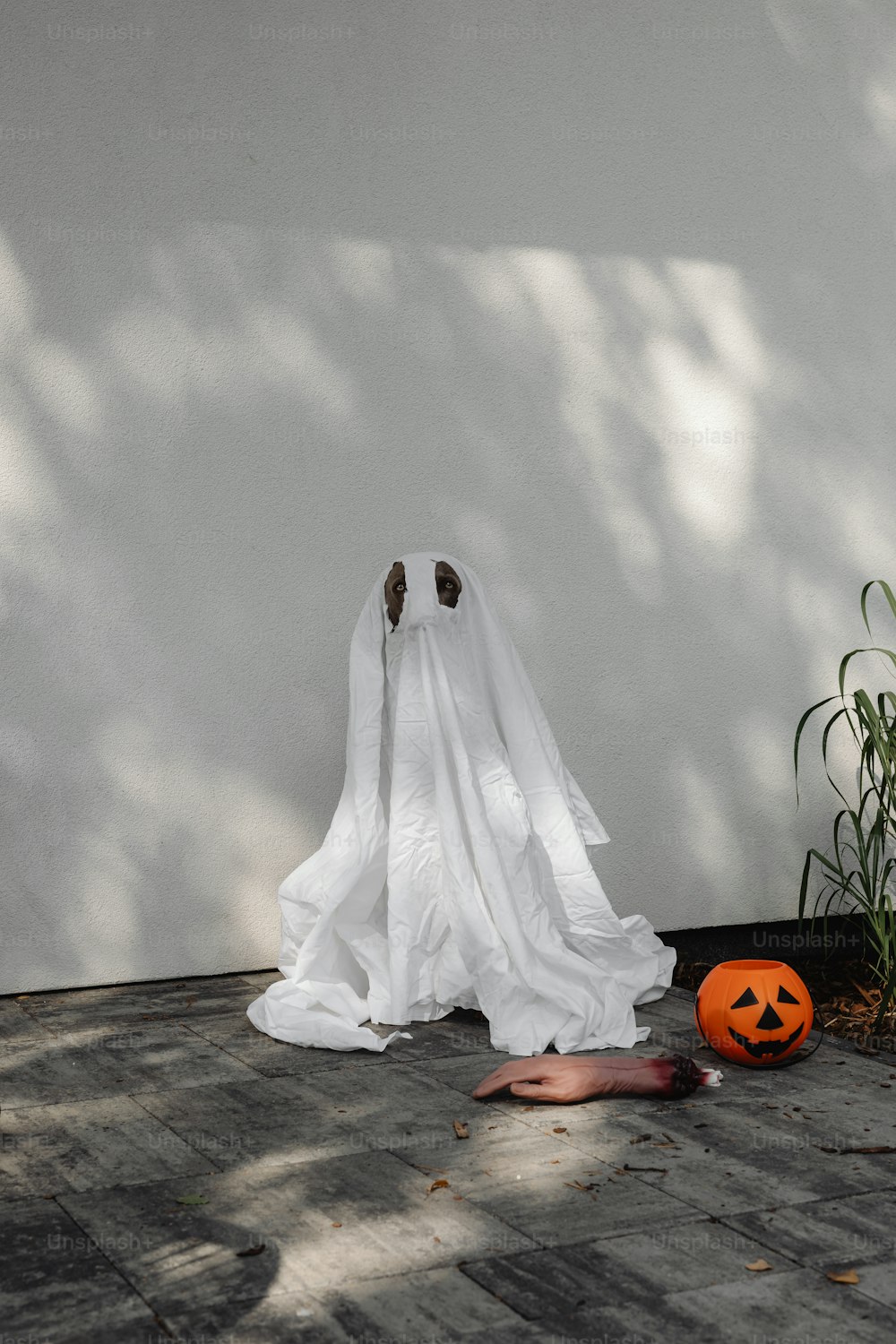 um fantasma fantasmagórico sentado no chão ao lado de uma abóbora