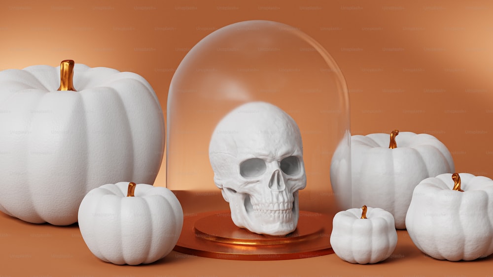 a white skull in a glass dome surrounded by white pumpkins