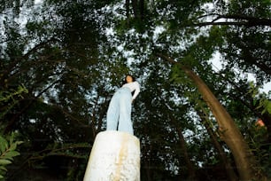 a person standing on a rock in the woods