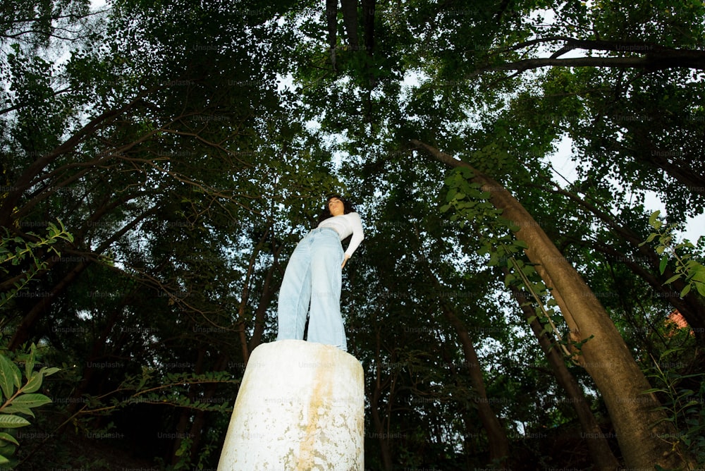 a person standing on a rock in the woods