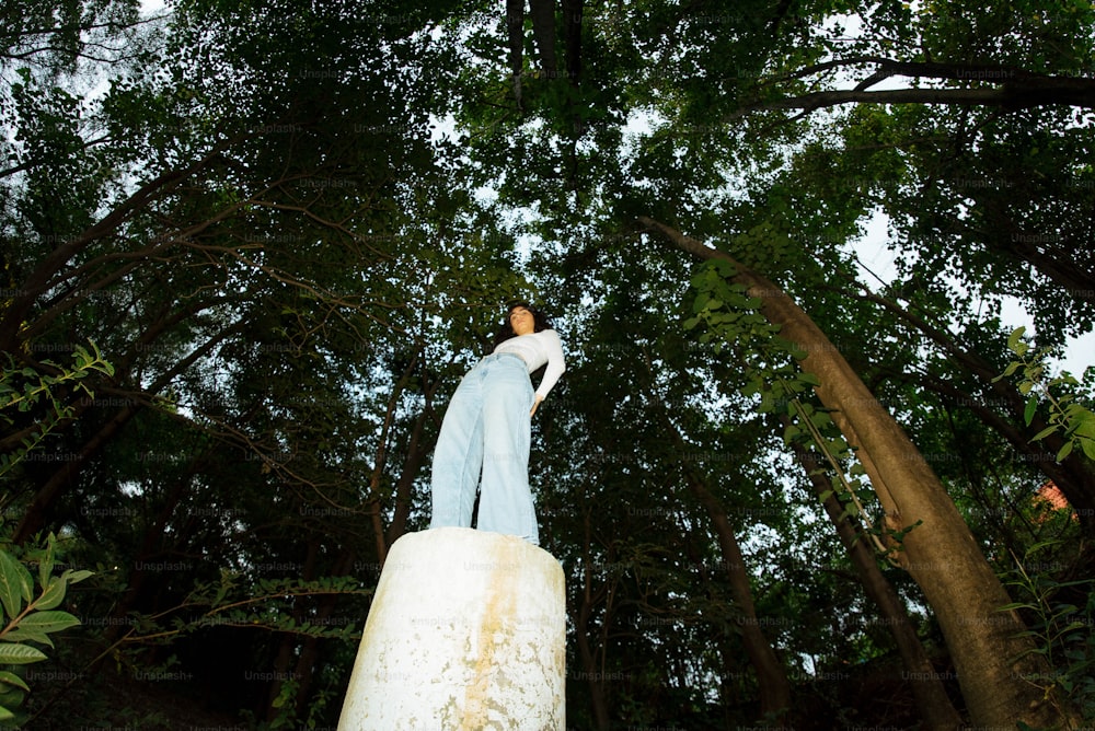 Una persona in piedi su una roccia nel bosco