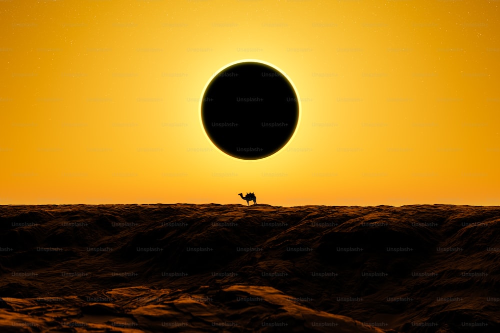 a lone animal standing on a rocky surface in front of the sun