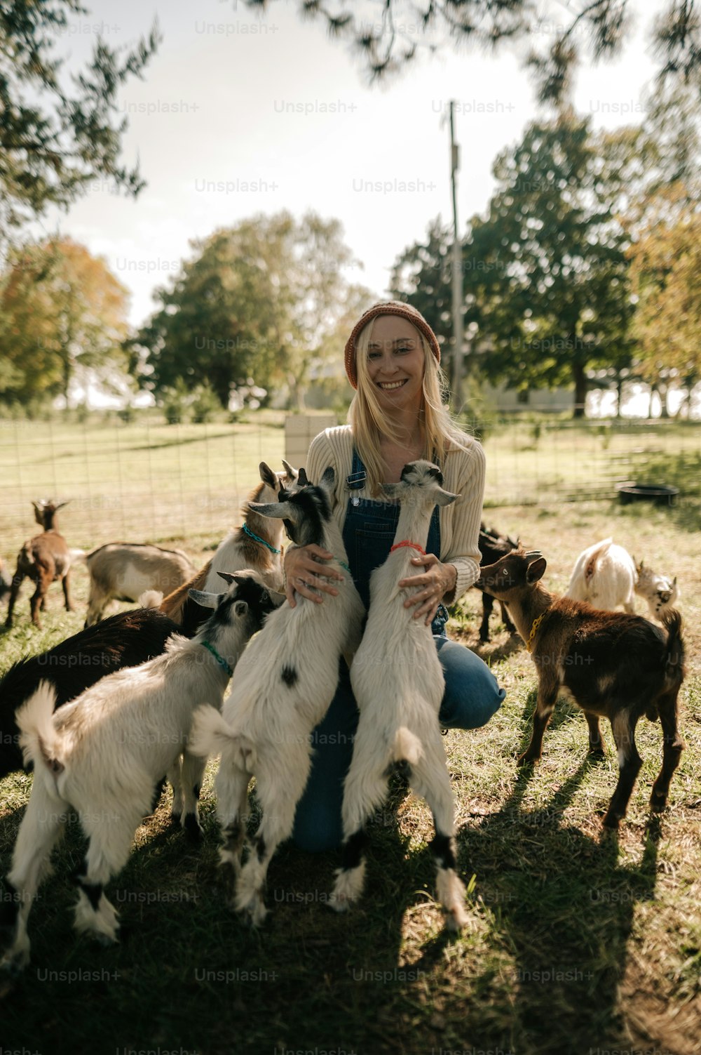 a woman sitting on the ground with a bunch of goats