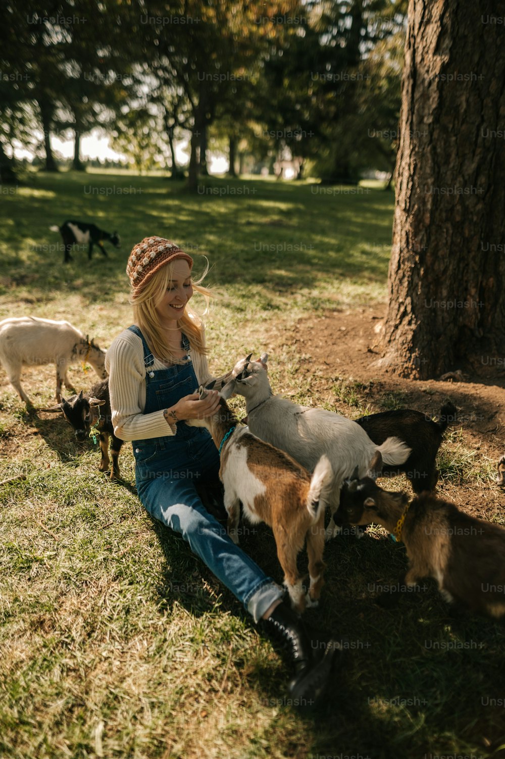 a woman sitting in the grass with a bunch of goats