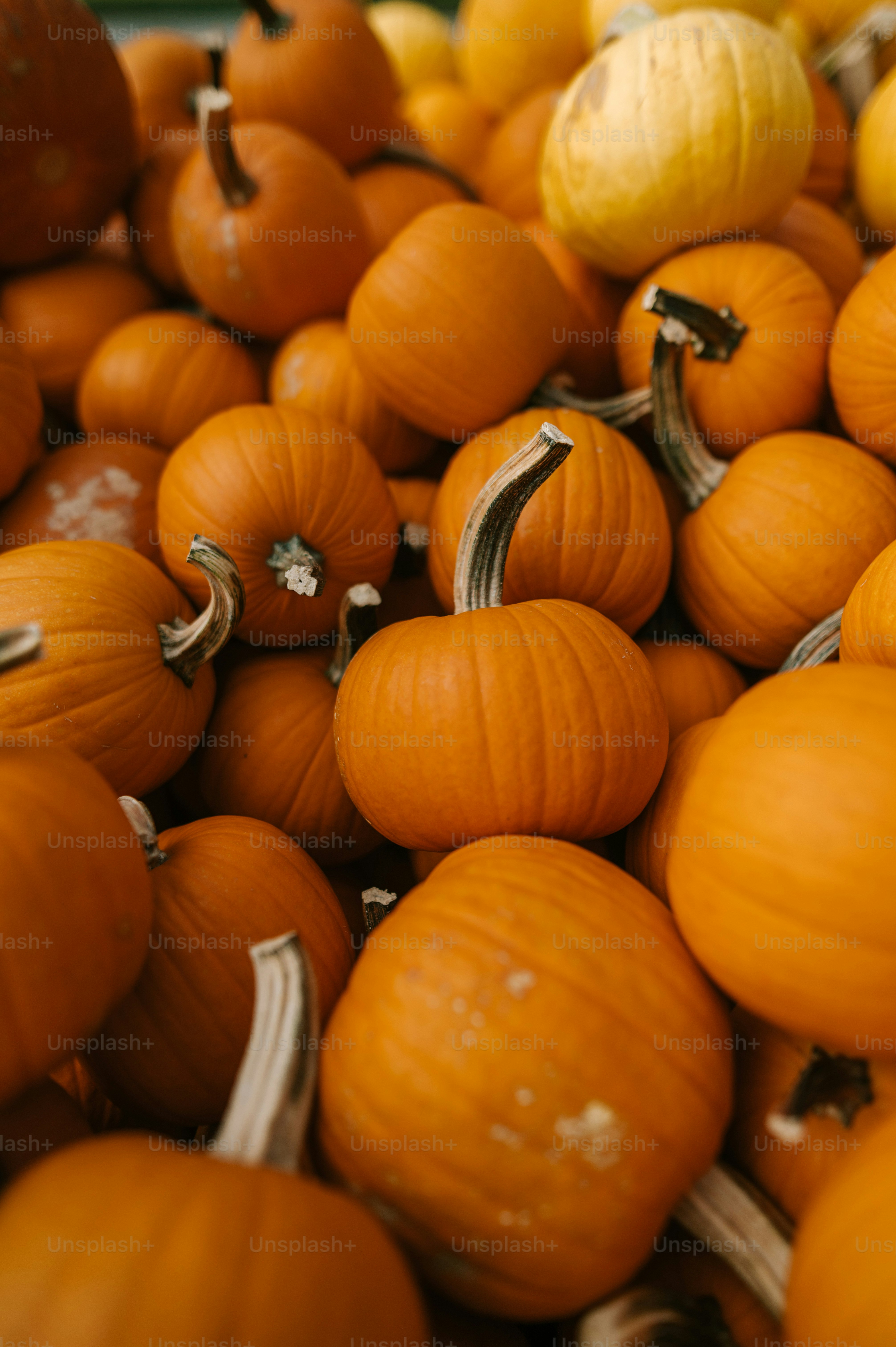a pile of pumpkins sitting on top of each other