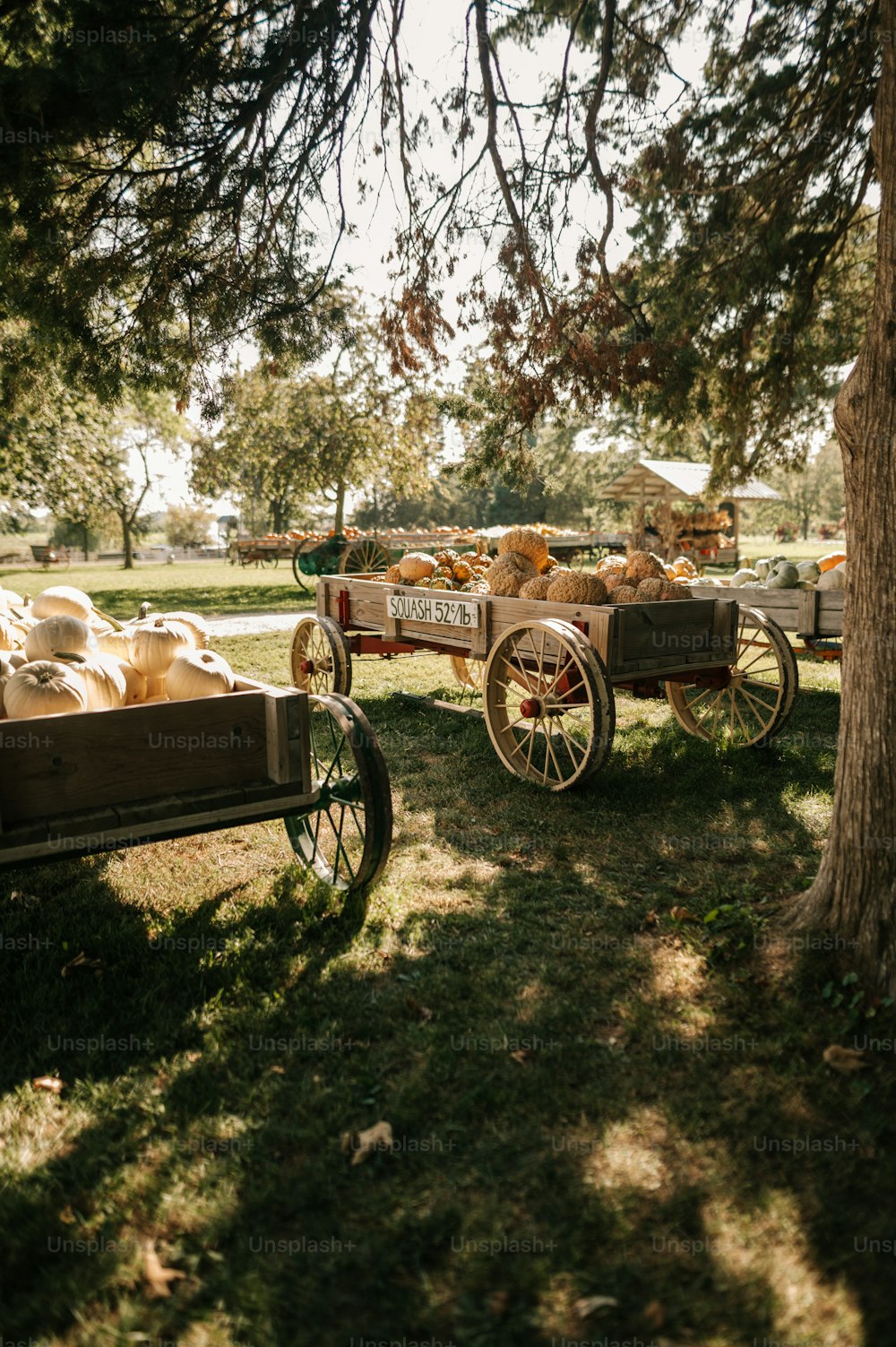 a wagon filled with potatoes sitting next to a tree