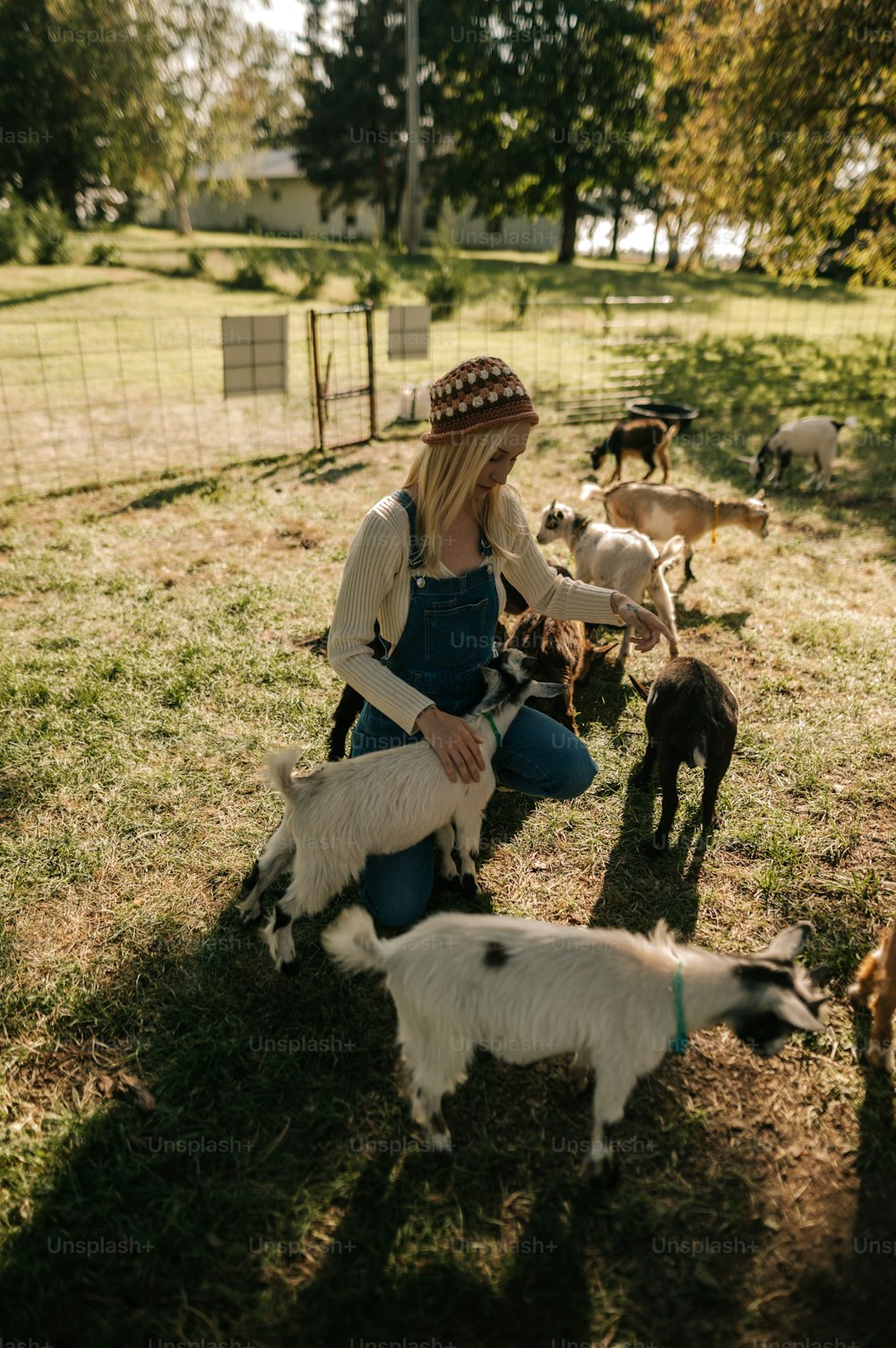 a woman sitting on the ground with a herd of goats