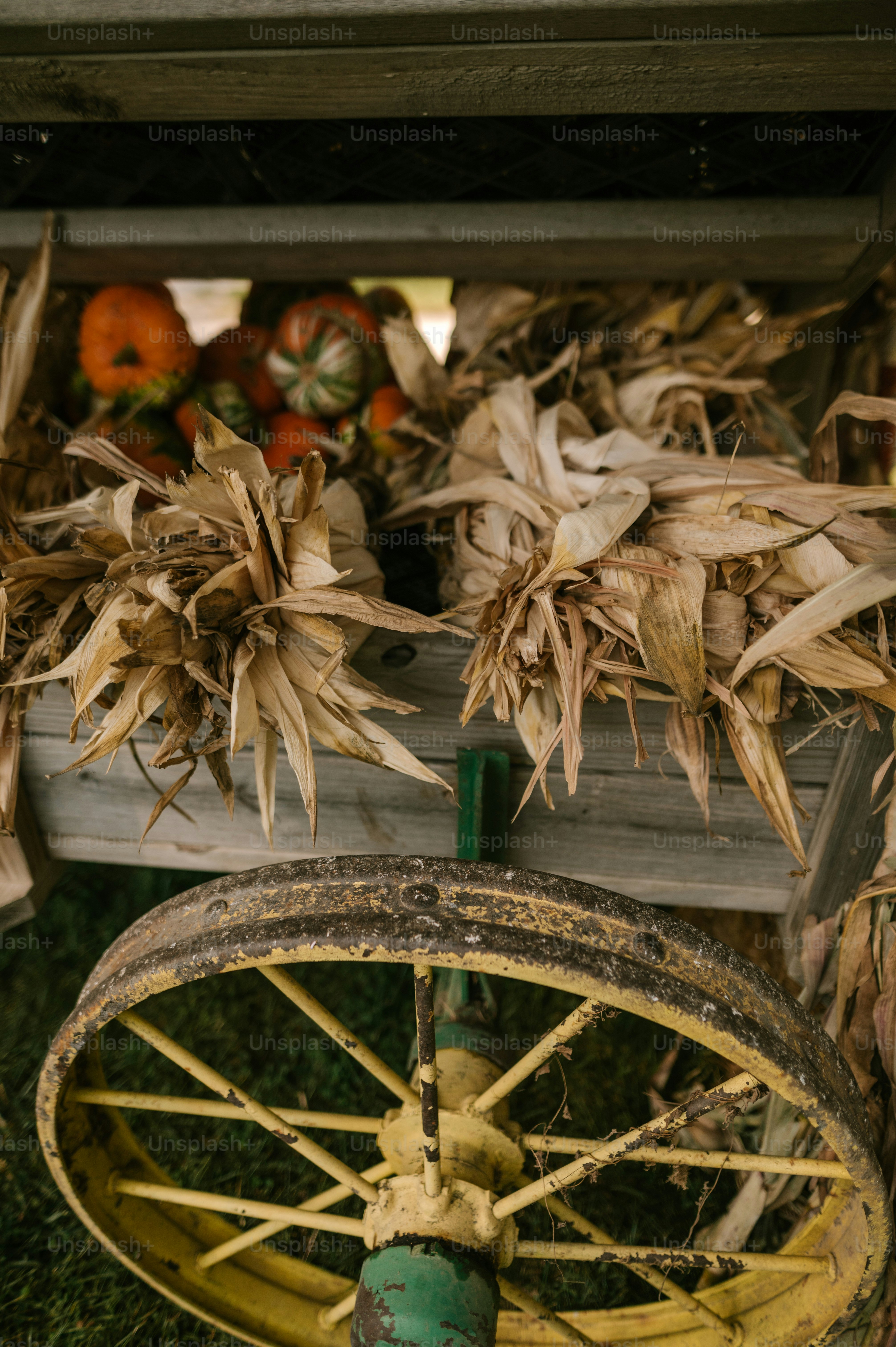 a wagon filled with lots of different types of fruit