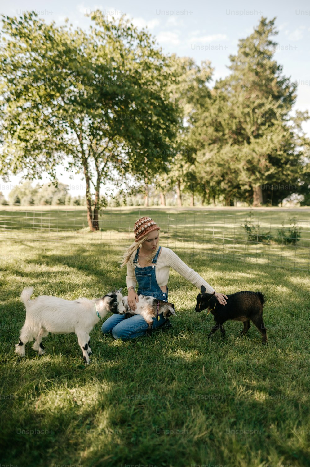 작은 개 두 마리와 함께 풀밭에 앉아 있는 여자