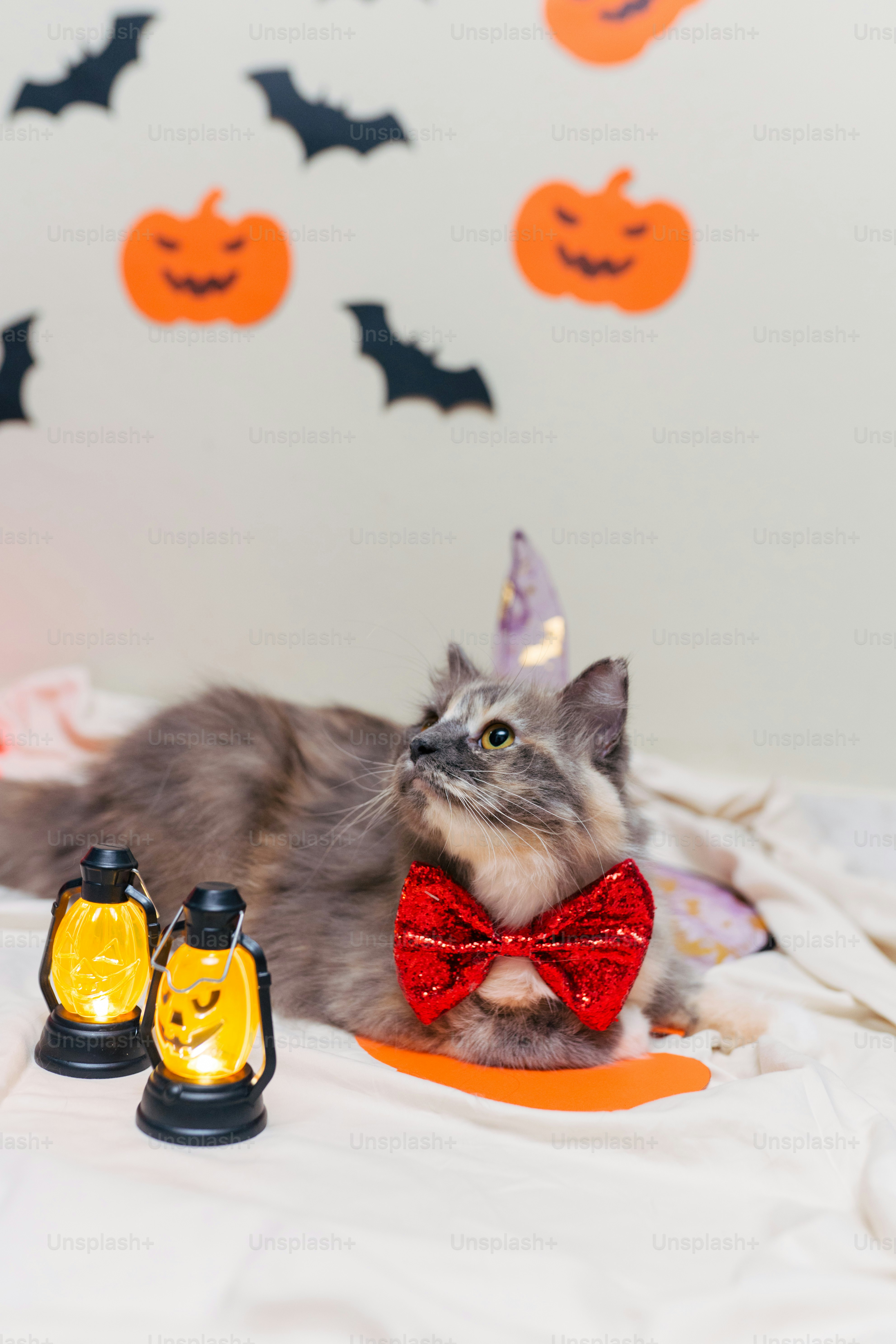 a cat wearing a red bow tie laying on a bed