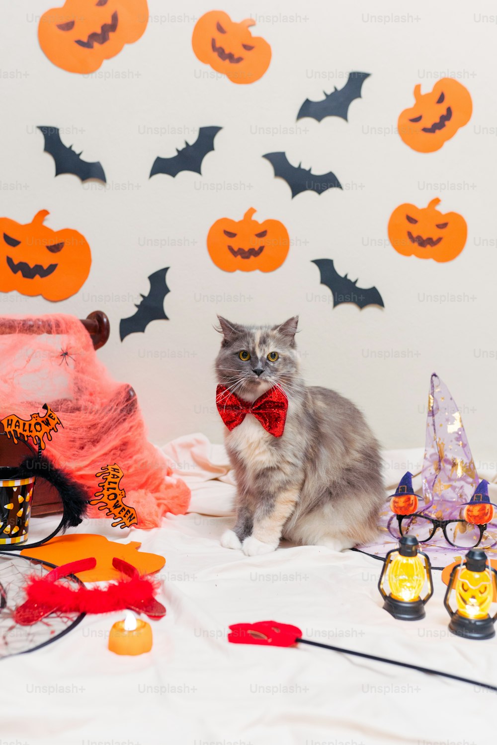 a cat wearing a bow tie sitting on a bed