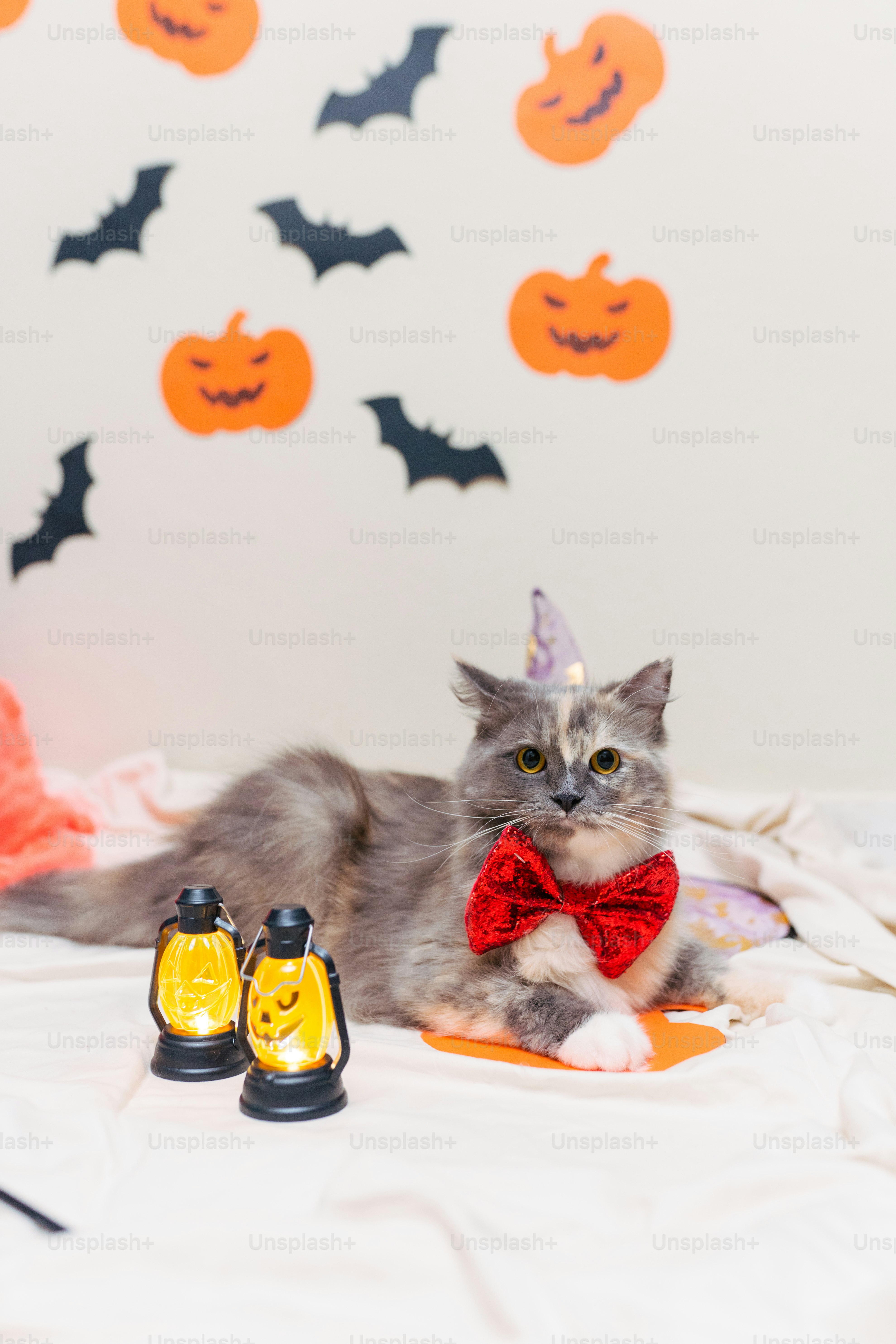 a cat wearing a red bow tie laying on a bed