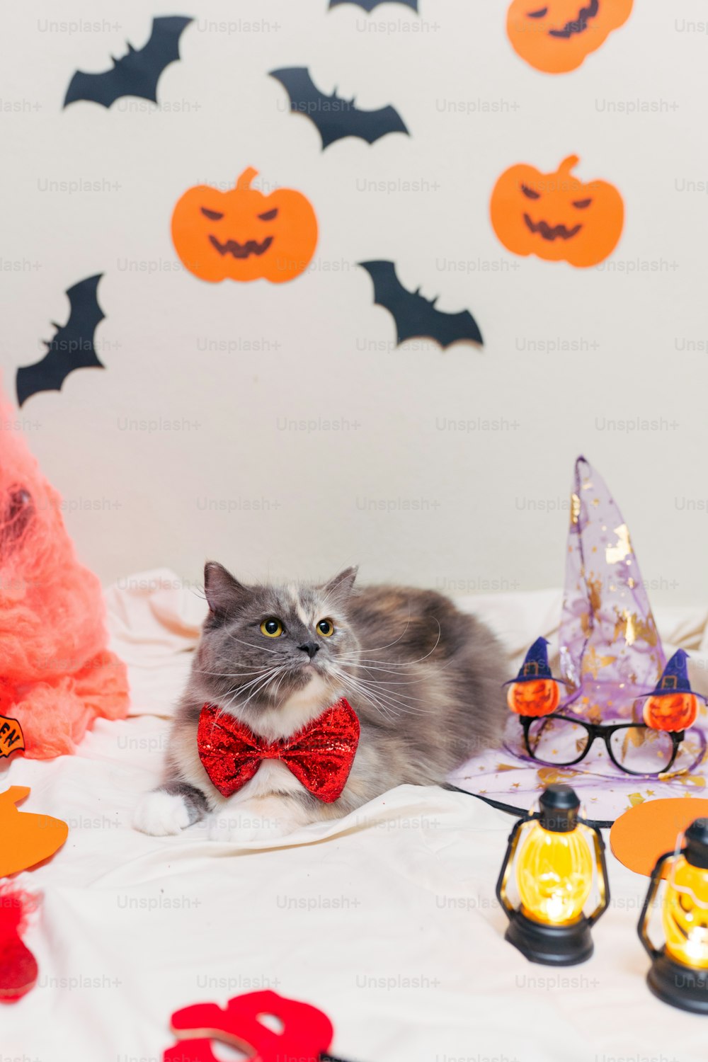 a cat wearing a red bow tie sitting on a bed