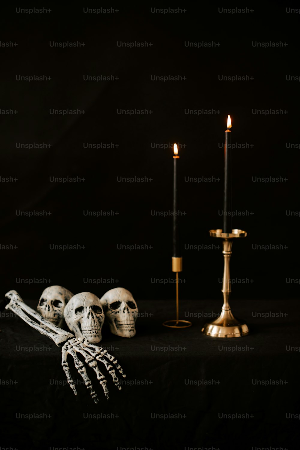 a couple of skulls sitting on top of a table