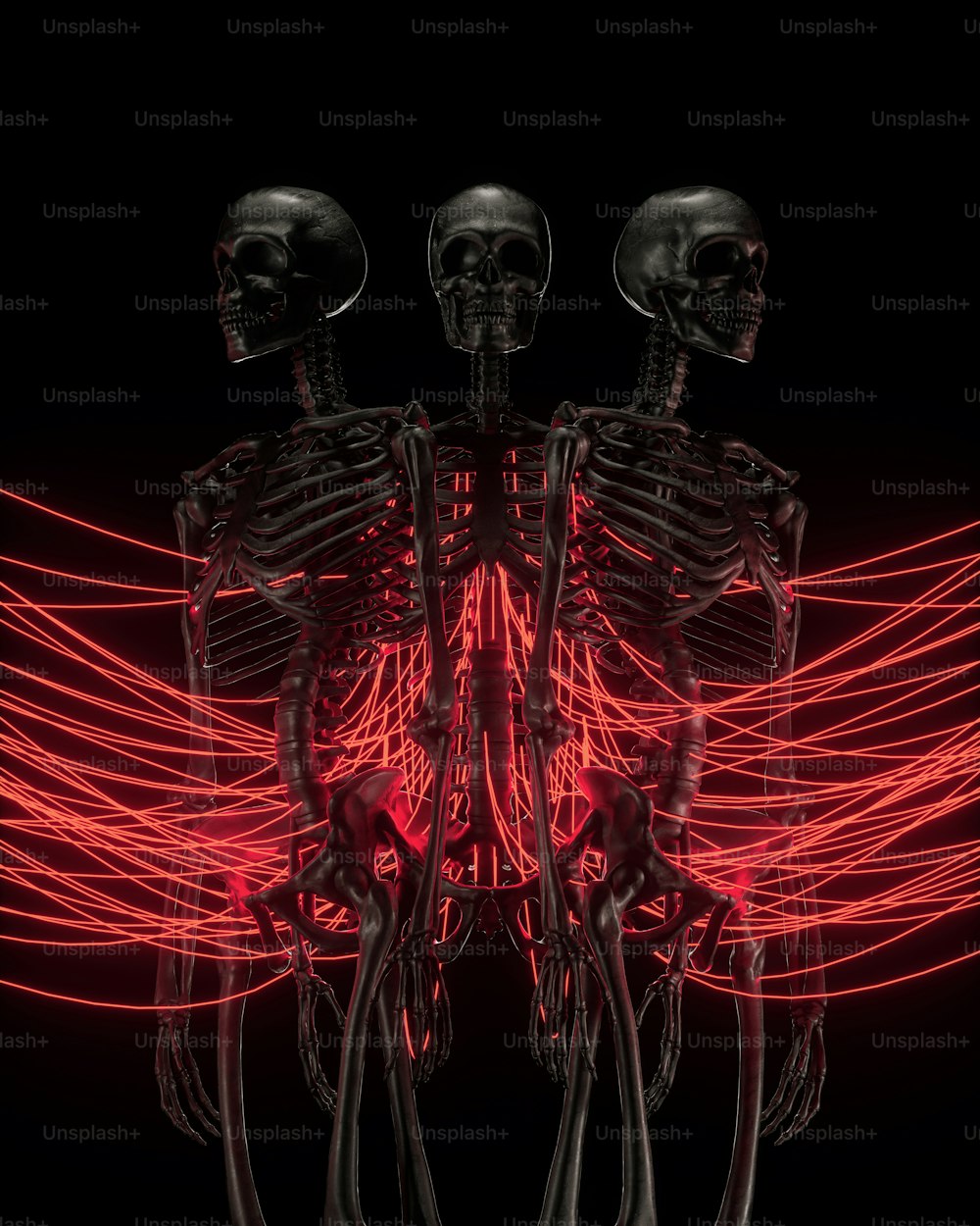 Una imagen generada por computadora de un esqueleto humano