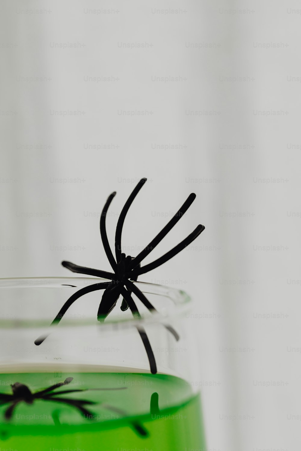 a green liquid with a black spider on it