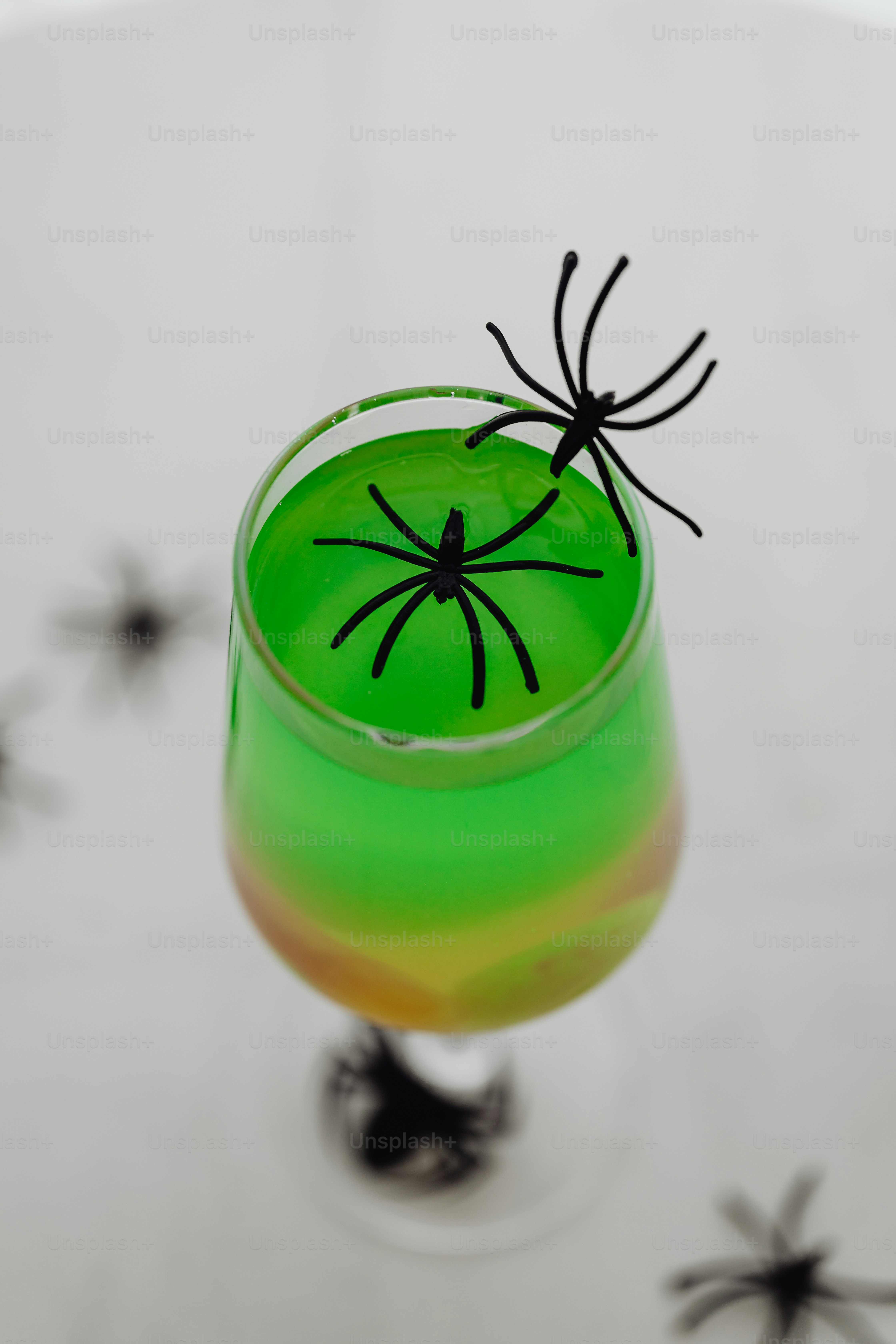 Cryptic Coloration Spider Pictures | Download Free Images on Unsplash
