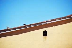 Dos pájaros están encaramados en el techo de un edificio