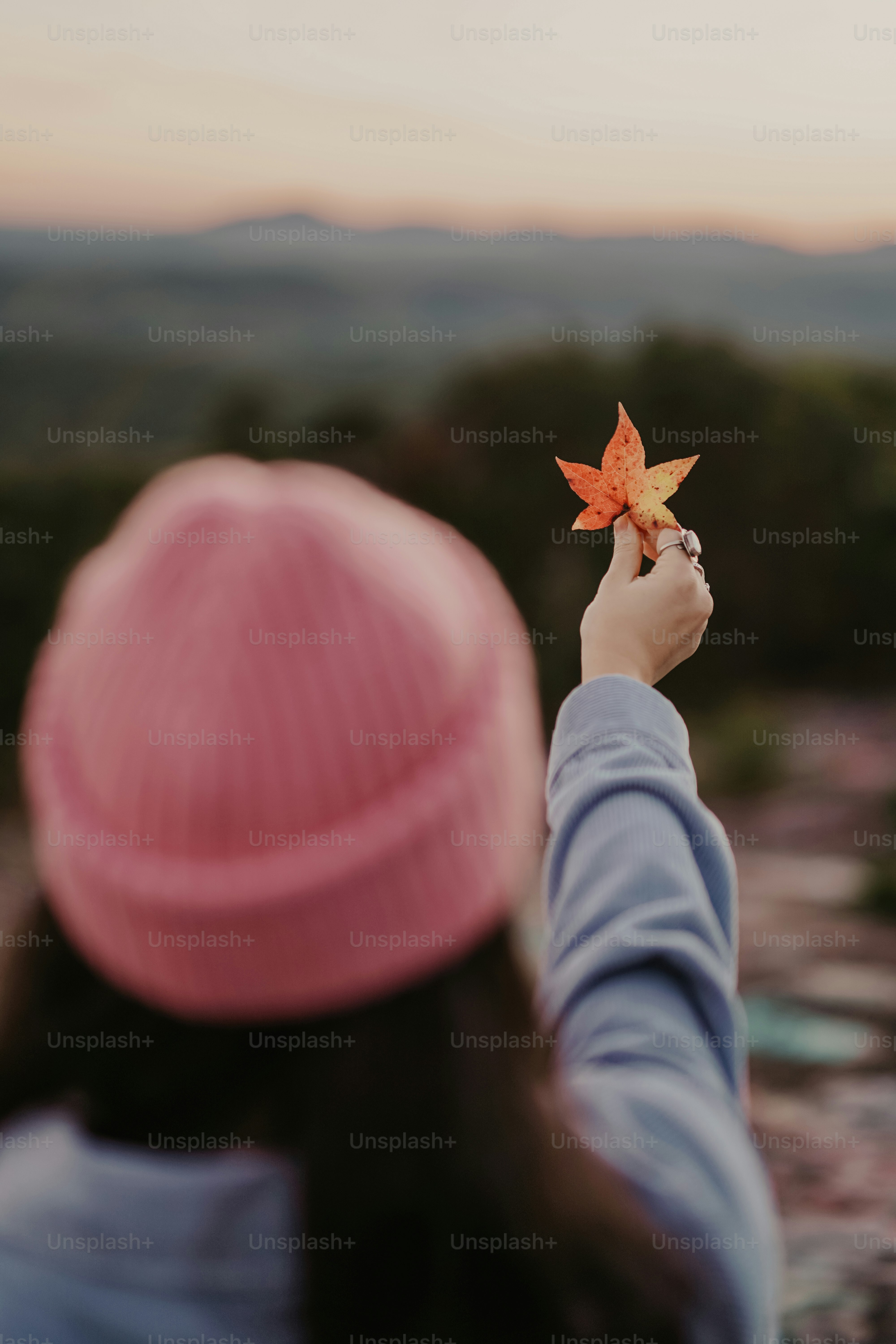 a person holding a leaf in the air
