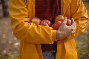 a person in a yellow jacket holding three apples