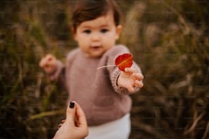 a woman holding a red leaf in her hand