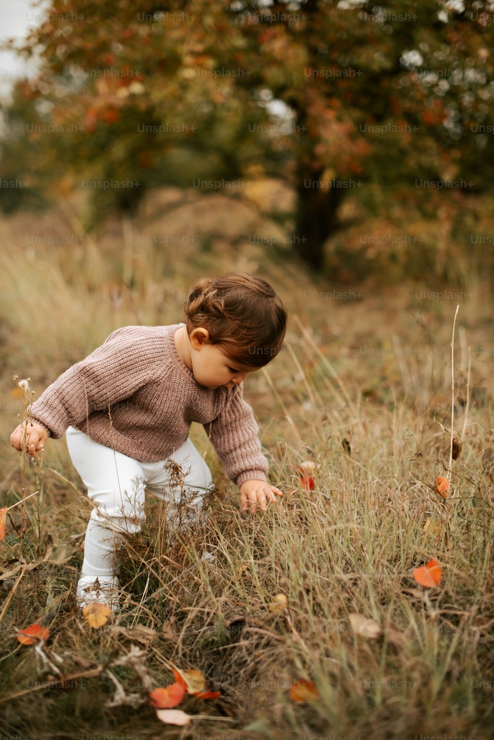 Una niña en un campo de hierba alta