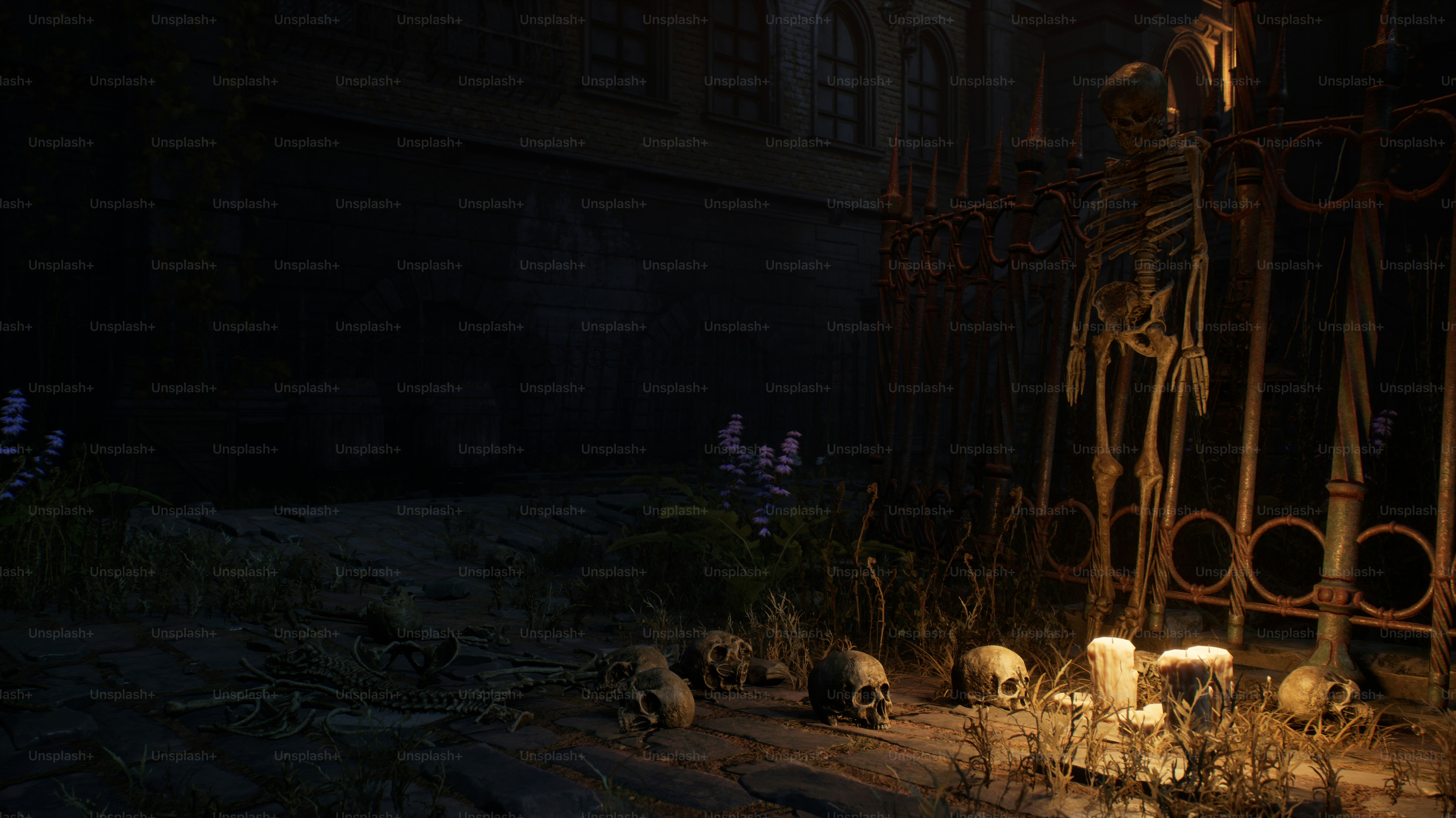 a bunch of skulls that are on the ground