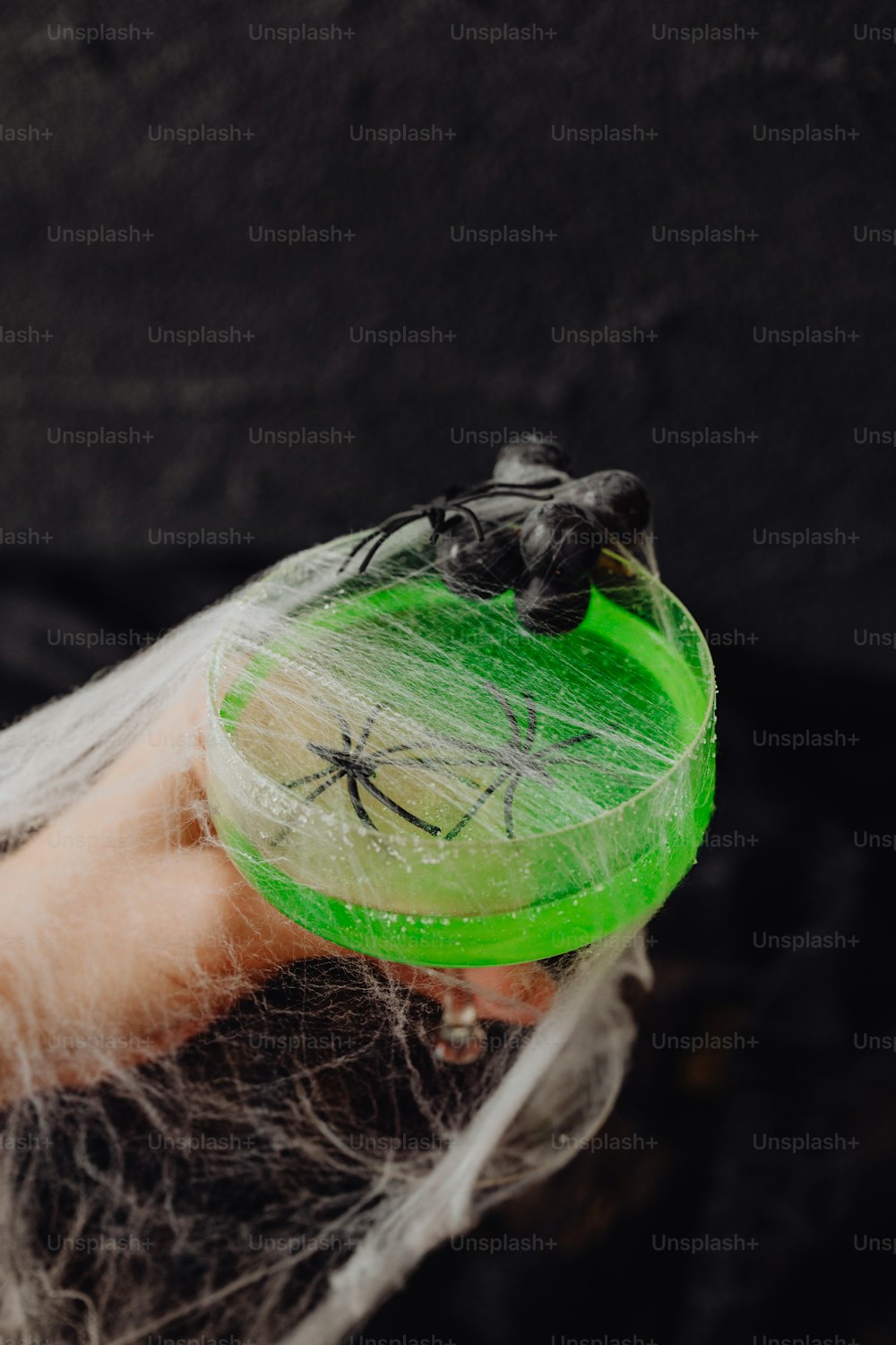 Una mano sosteniendo un frisbee verde con una araña en él