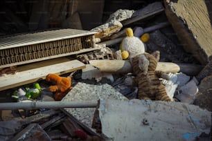 Un gato de peluche sentado encima de un montón de escombros