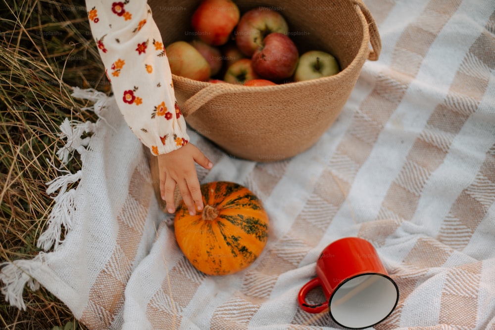 a person reaching for a pumpkin on a blanket